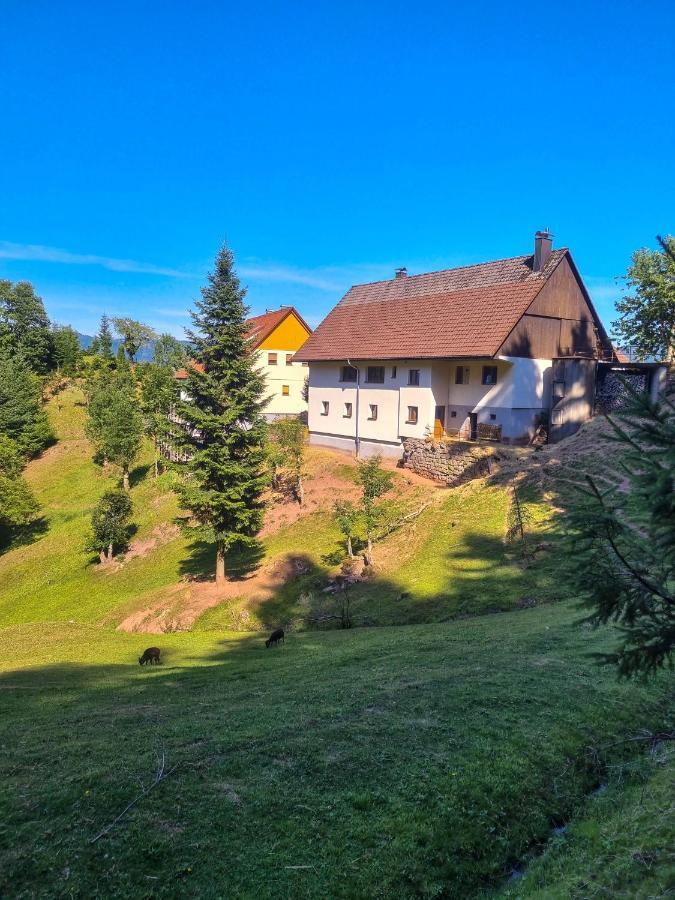 Ferienwohnung Holiswald Oppenau Exterior foto